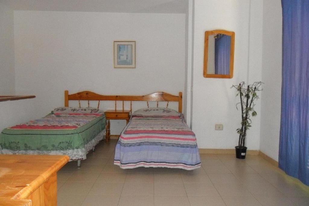 Apartamentos Alondras Park 코스타델실렌시오 외부 사진